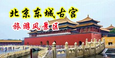 大鸡巴插女人逼视频中国北京-东城古宫旅游风景区